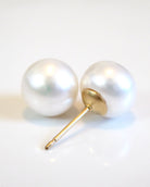 Freshwater Pearl Stud Earrings For Women - 14k Gold Fill